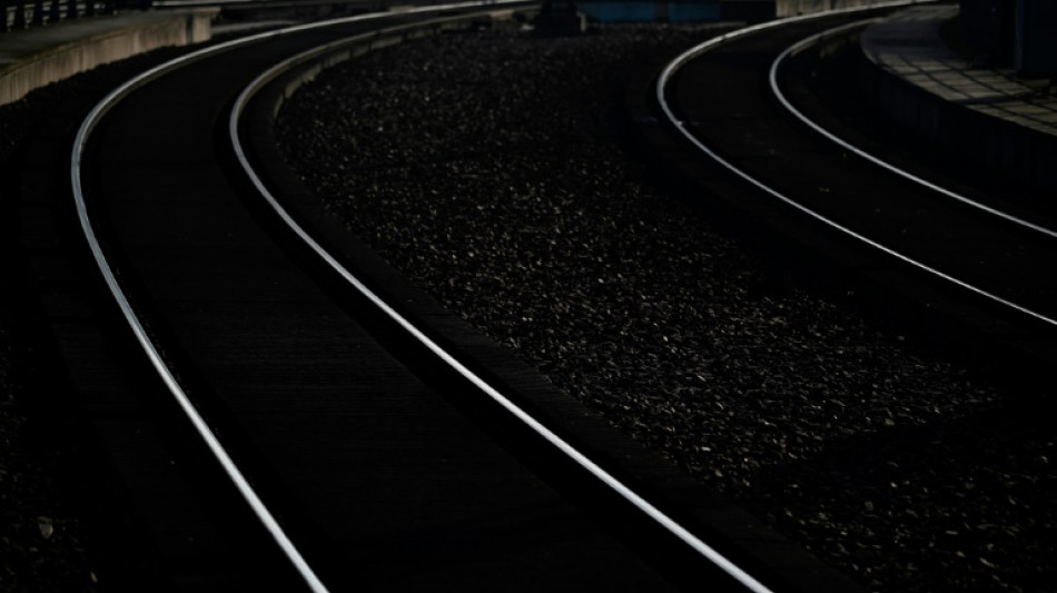 Hund springt auf Bahngleise: Mann stirbt bei Rettungsversuch in Baden-W&uuml;rttemberg