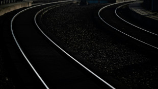 Hund springt auf Bahngleise: Mann stirbt bei Rettungsversuch in Baden-W&uuml;rttemberg