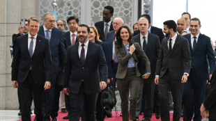 Conselho de Segurança da ONU afirma estar disposto a apoiar Síria durante visita