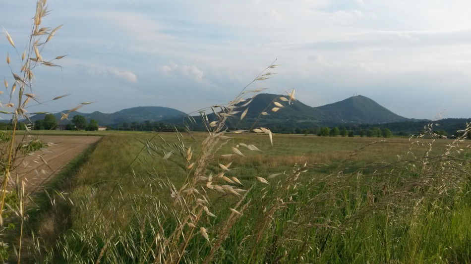 I Colli Euganei conquistano l'Unesco