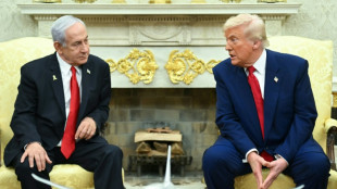 Trump veut arracher &agrave; Netanyahu un accord sur Gaza
