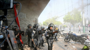 Journalist, protester killed at Nepal pro-monarchy rally