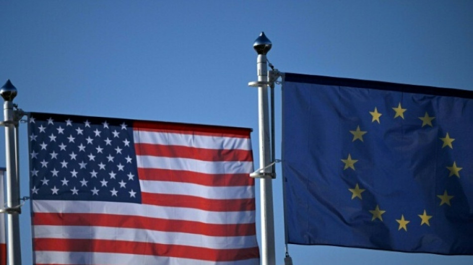 Merz warnt vor Folgen von US-Z&ouml;llen und dr&auml;ngt auf Verhandlungsl&ouml;sung