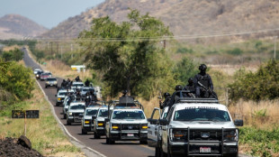 TikTok disinformation: the other weapon in Mexico violence