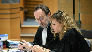 L'affaire Jubillar, "chronique d'un désastre judiciaire annoncé", fustige la défense