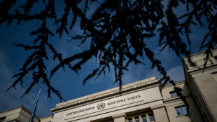 China deploys army of fake NGOs at UN to intimidate critics: media probe