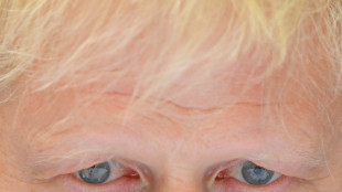 UK and EU polarised over post-Brexit N.Irish trade rules