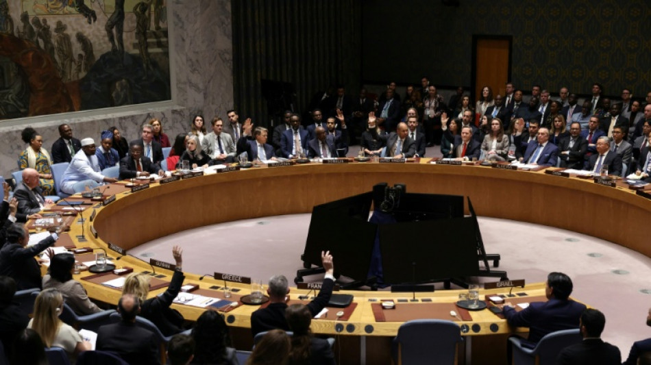Le Conseil de sécurité de l'ONU vote pour une force internationale à Gaza