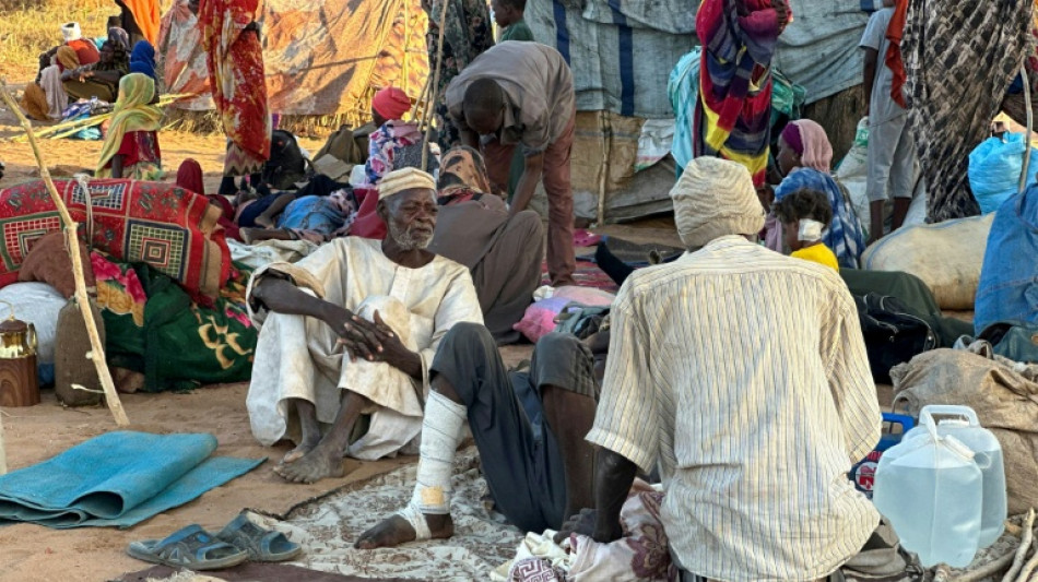 WHO urges Sudan ceasefire after alleged massacres in El-Fasher