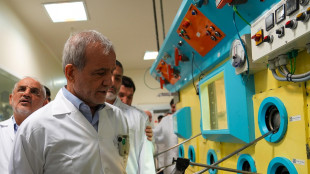 Agenzia nucleare Iran, pronti a diluire l'uranio in cambio revoca sanzioni