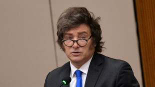 Milei atribui tempestade nos mercados financeiros da Argentina a 'p&acirc;nico pol&iacute;tico'