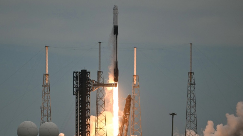 Musk's SpaceX helps launch stock market gains