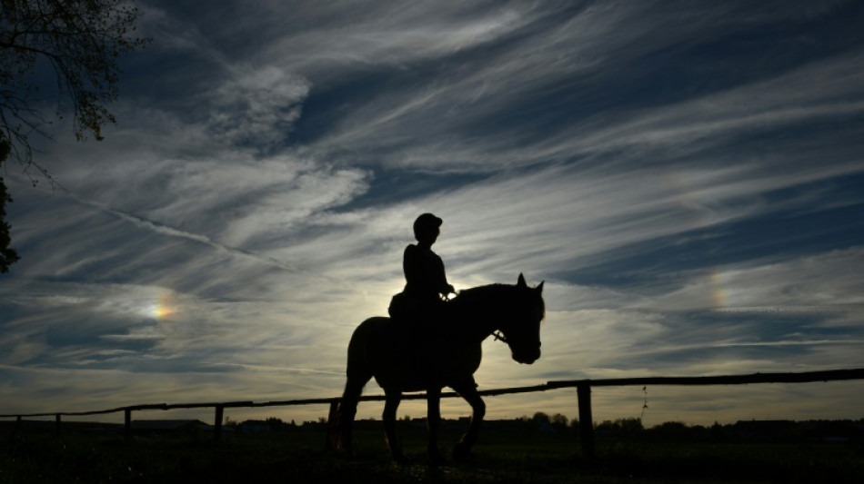 Le cheval, partenaire thérapeutique de victimes de violences sexuelles