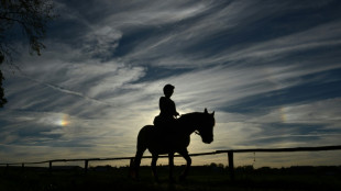Le cheval, partenaire thérapeutique de victimes de violences sexuelles