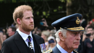 Harry, o retorno do filho pr&oacute;digo ao Reino Unido