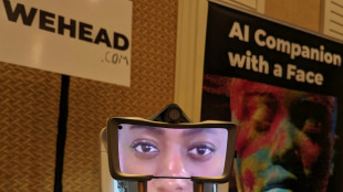 Os destaques da CES: cabeças falantes, táxis aéreos e pets vigiados