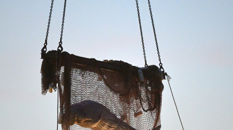 Ailing beluga put down in last-ditch French rescue bid