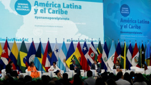Am&eacute;rica Latina busca sellar una propuesta com&uacute;n para la COP28 sobre cambio clim&aacute;tico