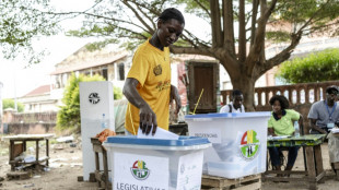 Bissau a voté dans le calme aux élections générales