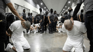 Les avocats de migrants vénézuéliens incarcérés au Salvador dénoncent des "tortures"