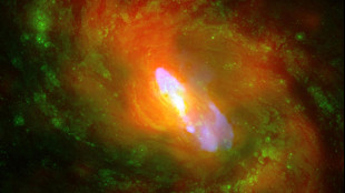 Missione Nasa-Asi mappa i campi magnetici di una pulsar