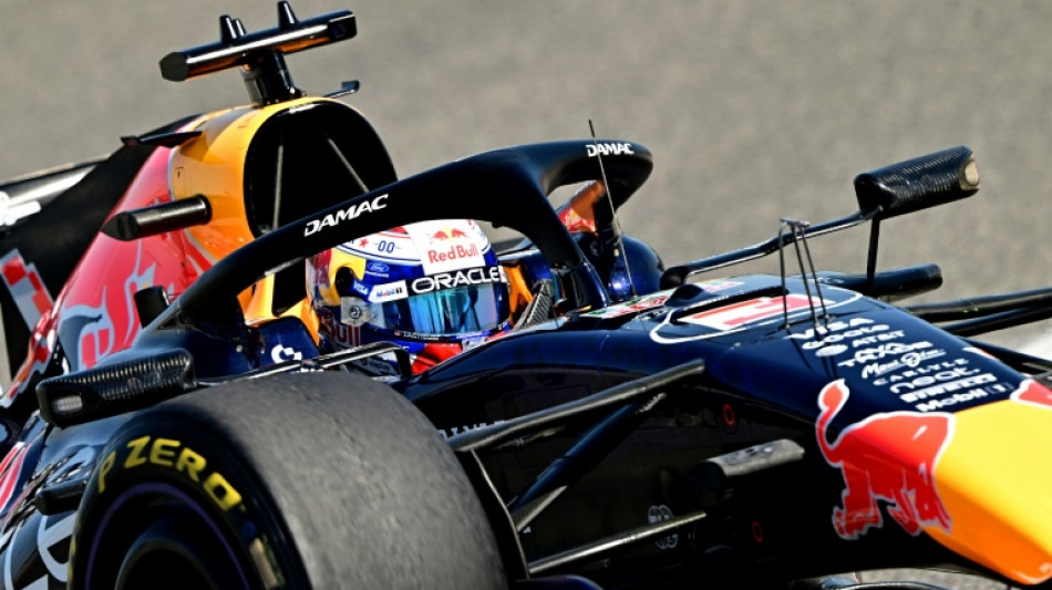 Verstappen says new Red Bull car gave him 'goosebumps' 