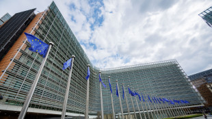 Stime Ue, da blocco price cap sul petrolio -3,5 miliardi per Mosca in un anno