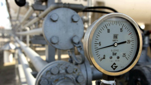 Il prezzo del gas chiude vicino a 49 euro con tensioni Usa-Iran