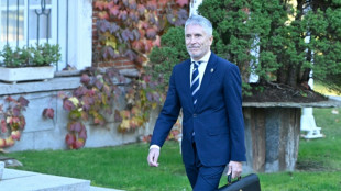 Nueve detenidos en los disturbios antinmigrantes en el sureste de Espa&ntilde;a