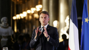 France to unveil &euro;37 bn in foreign investment at Versailles summit: presidency