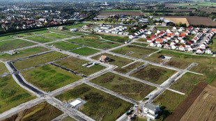 Baugewerbe mit mehr Auftr&auml;gen im Februar - Dreimonatsvergleich aber weiter negativ