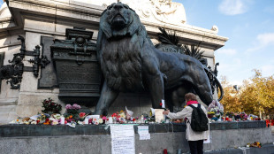 Parigi, 'la minaccia terrorista in Francia ancora molto elevata'