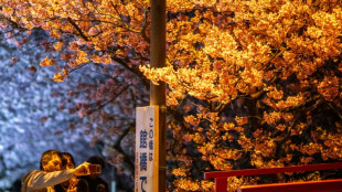 Chinese tourists ditch Japan for third month running