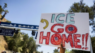 US immigration agents barred from LA baseball stadium: team