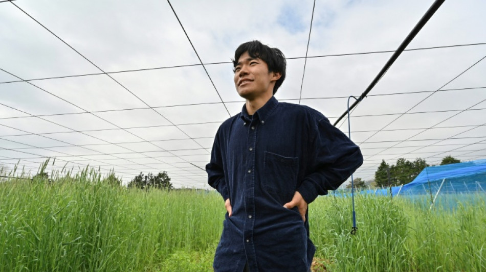 Con sus kiwis, un joven agricultor da nueva vida a la regi&oacute;n de la cat&aacute;strofe de Fukushima