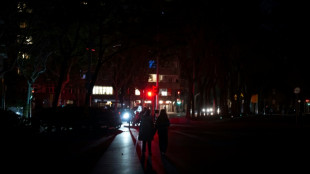 Panne géante en Espagne: un rapport du gestionnaire du réseau évoquait des risques liés aux "renouvelables"