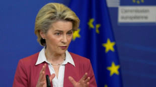 L'UE promet &agrave; l'Afrique plus de 150 milliards d'euros d'investissements 
