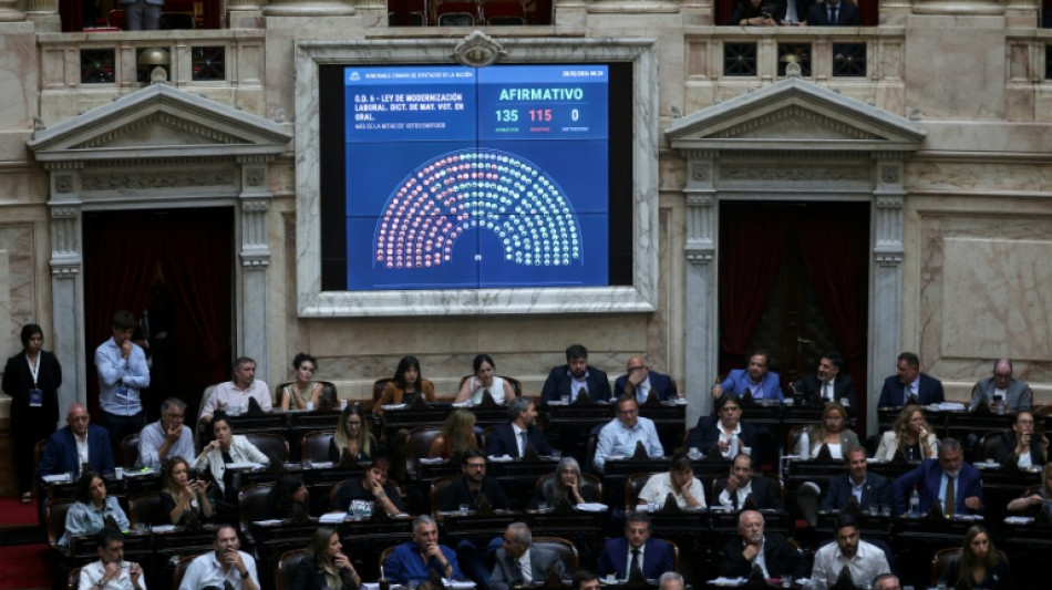 Avanza la reforma laboral de Milei en la C&aacute;mara de Diputados tras la huelga en Argentina