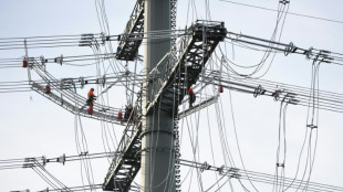 Verbrauchersch&uuml;tzer fordern schnellere Entlastungen bei Netzentgelten