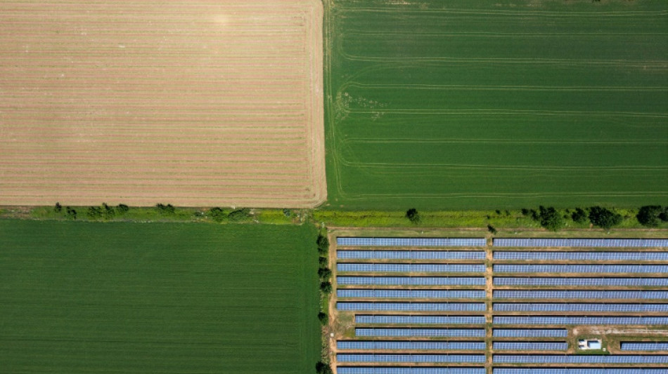 Sunny Greece struggles with solar energy overload