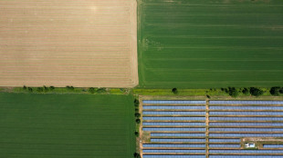 Sunny Greece struggles with solar energy overload