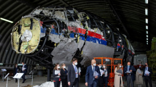 Trois hommes condamn&eacute;s &agrave; perp&eacute;tuit&eacute; pour le crash du vol MH17 en 2014