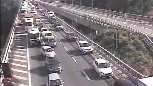 Tomasi, un mese e mezzo di ferie, 150 milioni mezzi su rete Aspi