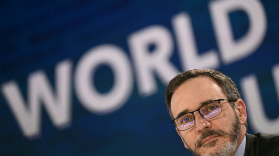 IWF hebt Prognose für Deutschland für 2025 leicht an - Zoll-Schock "weniger heftig"