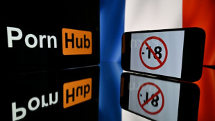 Un alto tribunal franc&eacute;s restablece la obligaci&oacute;n de verificar la edad en los sitios porno