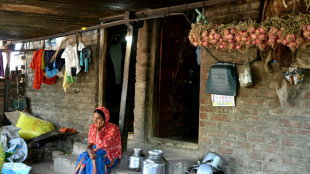 En Inde, vague de suicides d'agriculteurs victimes du changement climatique