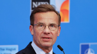 Suecia exige que la UE congele la parte comercial de su acuerdo de asociaci&oacute;n con Israel