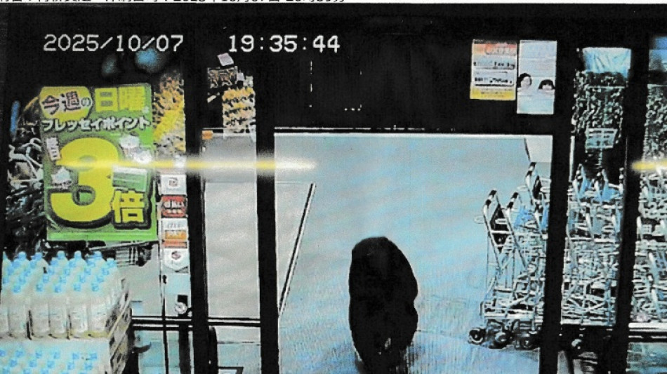 Fatal bear attacks hit new record in Japan