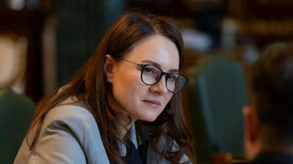 Ukraine's new PM: a deal-maker as head of wartime government