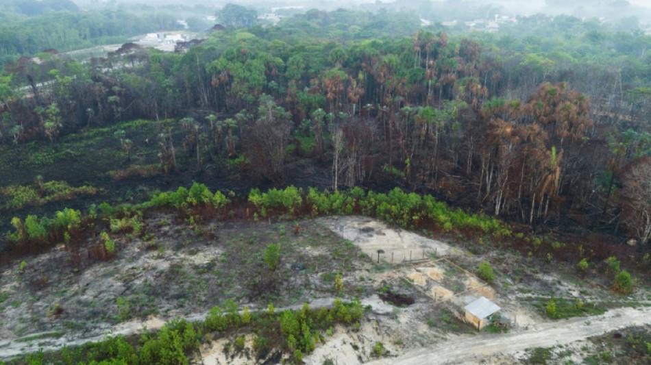 Área incendiada no Brasil em 2024 foi 62% maior que a média de quatro décadas